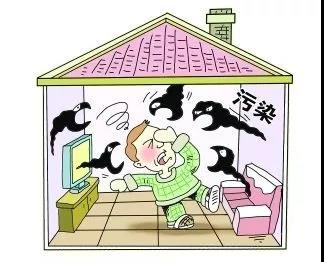 裝修，為什么選擇三葉石裝飾？